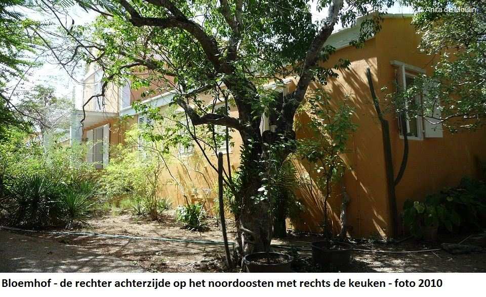 38. Bloemhof achterzijde op het noordoosten 2010
